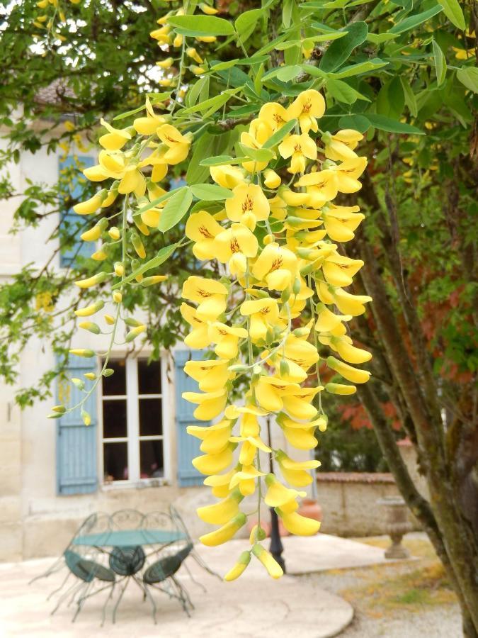 Une Parenthese En Champagne Jaucourt Exterior photo